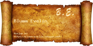 Blumm Evelin névjegykártya